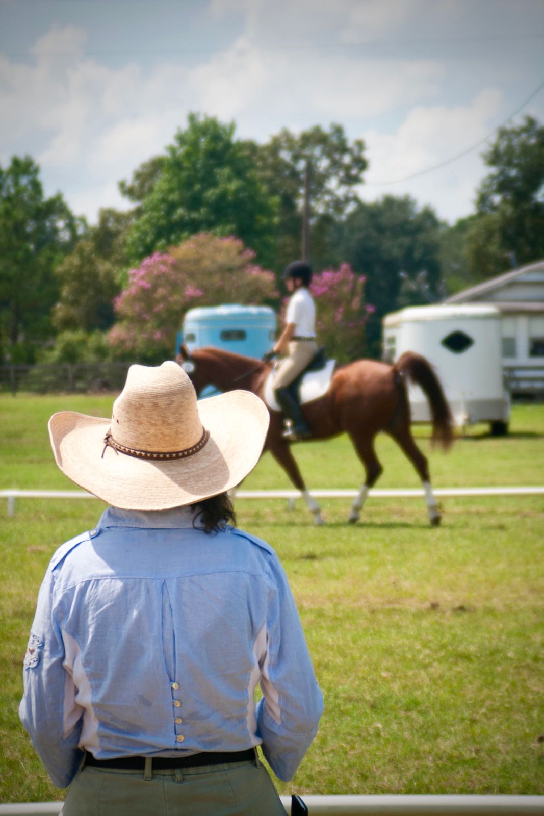 Training arena at Bridge Equestrian
