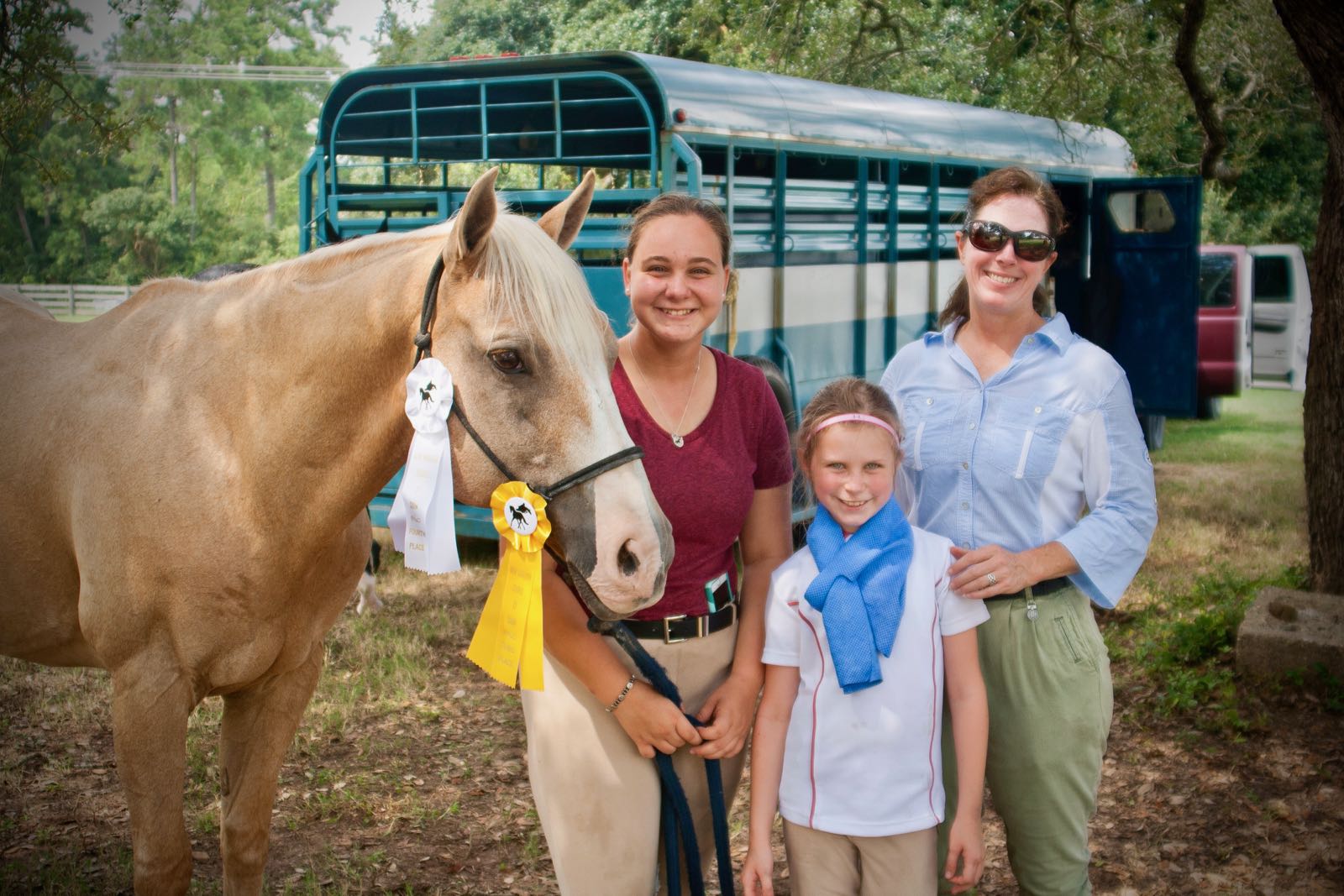 Competition & Shows