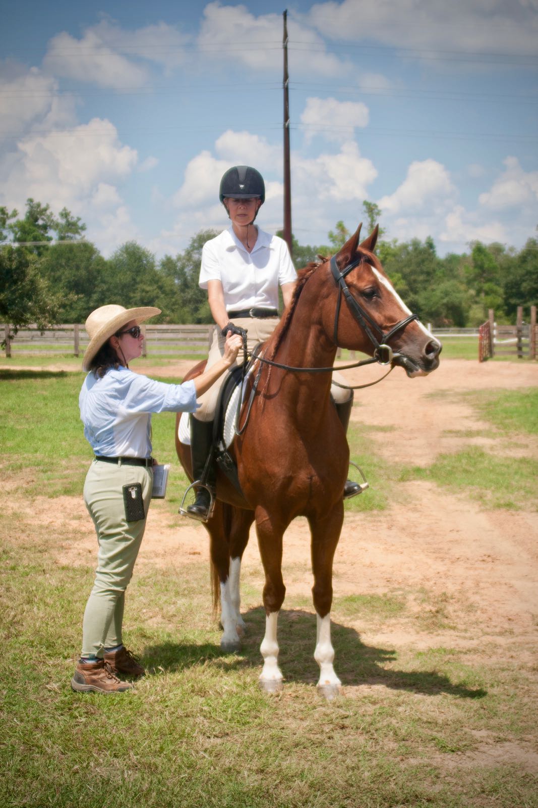 Student learning horse grooming